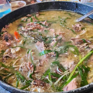 애마오리 사진 1