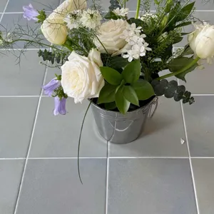 코하 대표 사진