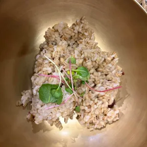 청국장과보리밥 대표 사진