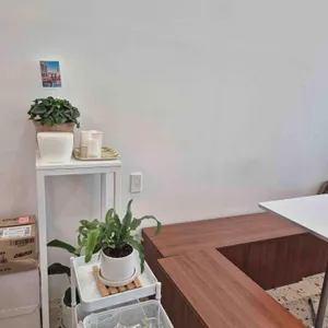 멜린 대표 사진