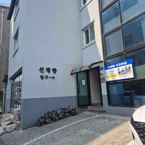 선채향 대표 사진