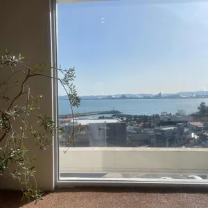 멜로우선샤인 대표 사진