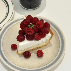 데이 오프 나이트 대표 사진