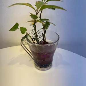 떠기다방 리뷰 사진