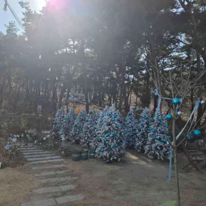 테이스티 가든 대표 사진