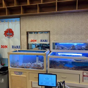 돈하리 대표 사진