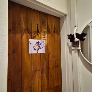 취호전 대표 사진