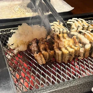 일편장어 사진 1