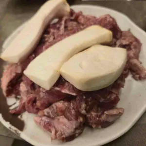 유명갈매기 사진