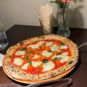 오스테리아 냅 사진 2