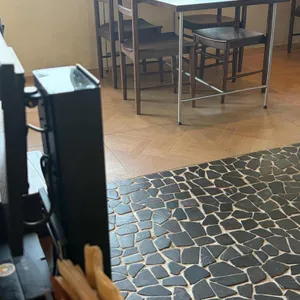 정희 대표 사진