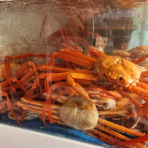 갈매기횟집 사진