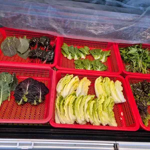 최씨네 대박고깃집 대표 사진