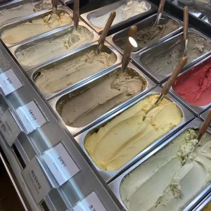 젤라또먼트 대표 사진