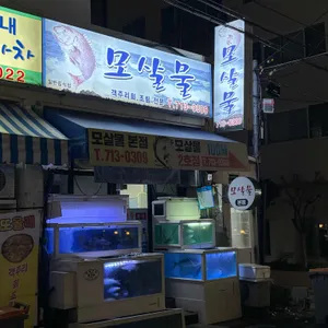 모살물 리뷰 사진