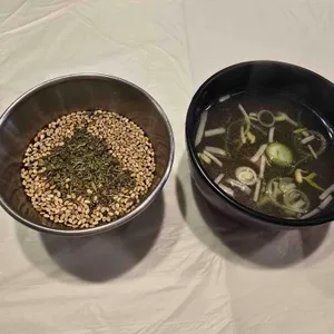 라라포 대표 사진