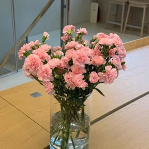 카페 오누이 대표 사진
