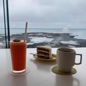 비수기애호가 사진 1