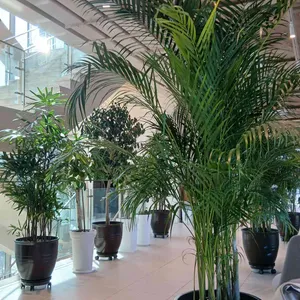 좋은아침페스츄리 대표 사진