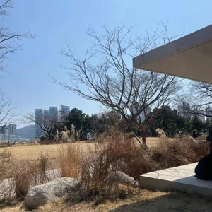 모모스커피 사진 1