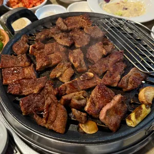 금관꽃돼지 사진