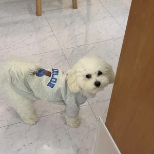 슈푸 대표 사진