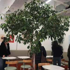 로이베이커리카페 대표 사진
