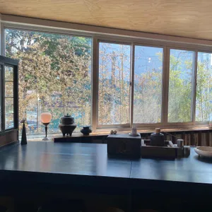 스나오 코히 대표 사진