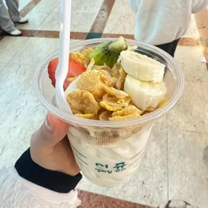 시쥬 사진