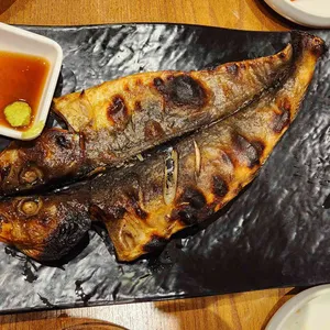 산골오징어 대표 사진