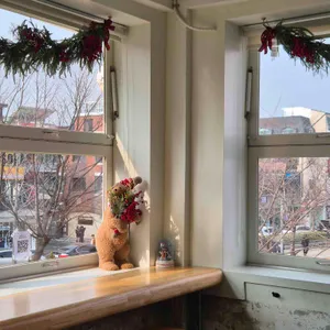 도트블랭킷 대표 사진