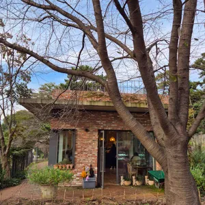 카페 피어라 사진