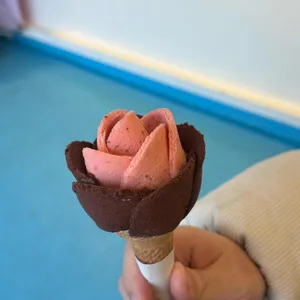 꽃봉자 대표 사진