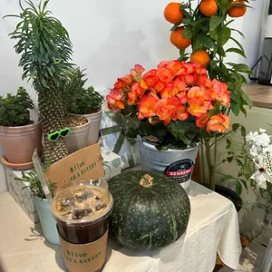 올리브팜 베이커리 대표 사진