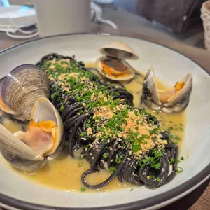 세디치 대표 사진