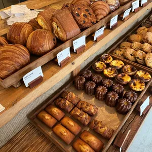 몬탁 대표 사진