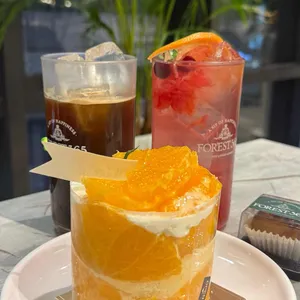 포레스트365 사진