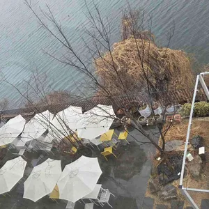 라온숨 리뷰 사진