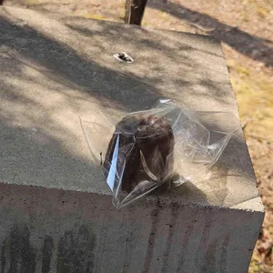 아우어베이커리 대표 사진