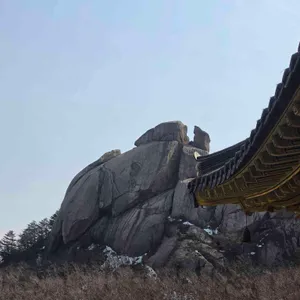 청황 리뷰 사진