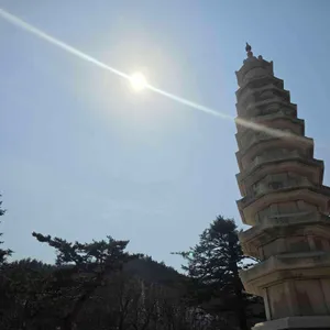 청황 리뷰 사진