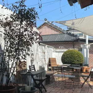 노트릭 대표 사진