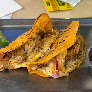 더타코부스 대표 사진