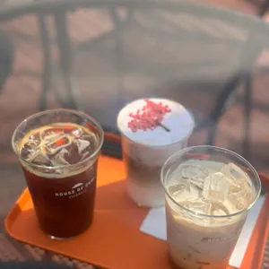 이스트 1779 사진 2