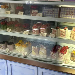 터틀힙 대표 사진