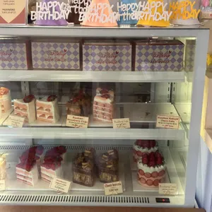 터틀힙 대표 사진