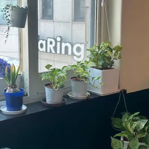 디프 대표 사진