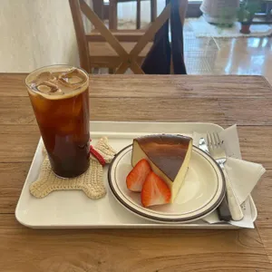 코지누크 사진 1