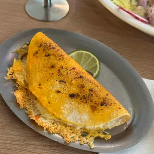 코우너 대표 사진