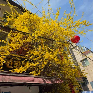 마가만두 대표 사진